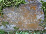 image of grave number 631851